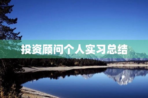 投资顾问个人实习总结 投资顾问个人实习总结