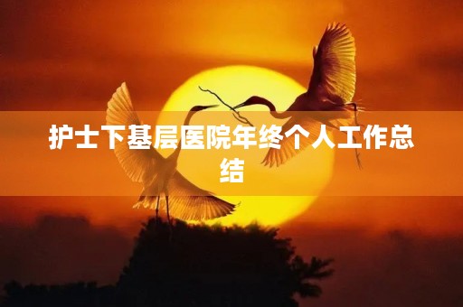 护士下基层医院年终个人工作总结
