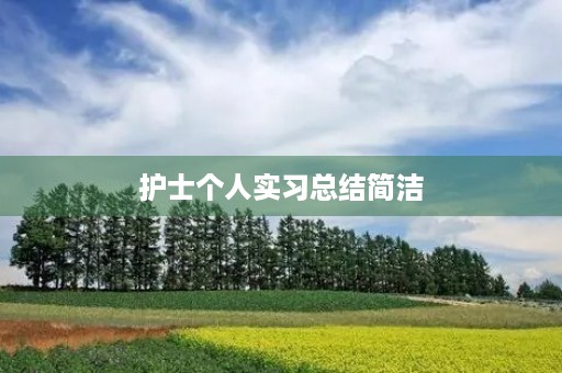 护士个人实习总结简洁