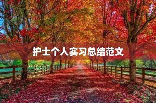 护士个人实习总结范文 护士个人实习总结范文