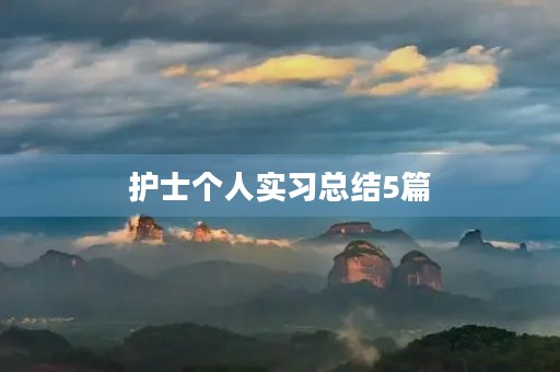 护士个人实习总结5篇