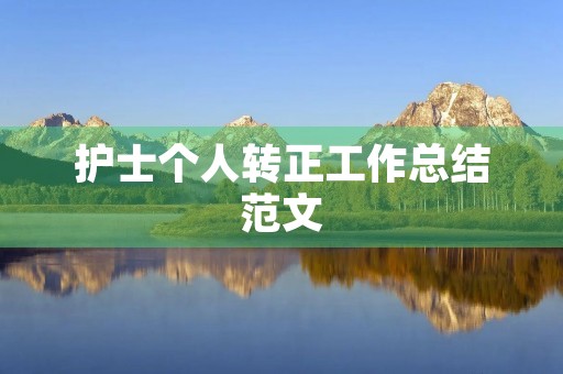 护士个人转正工作总结范文