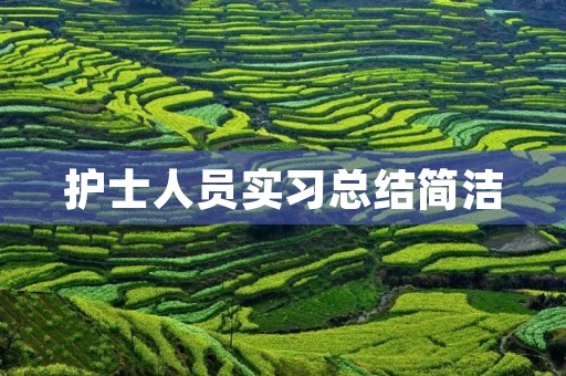 护士人员实习总结简洁