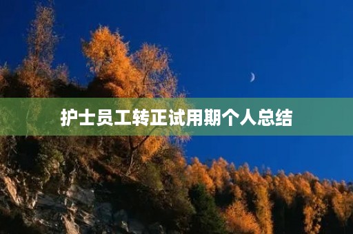 护士员工转正试用期个人总结