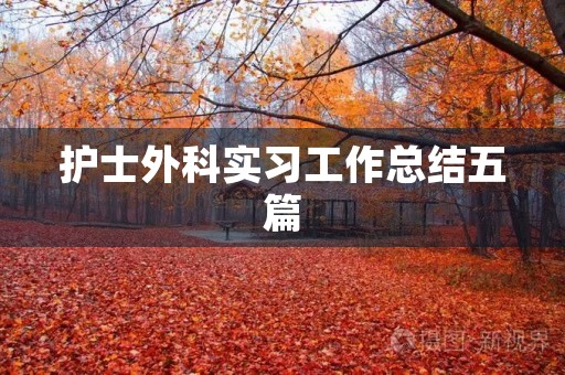 护士外科实习工作总结五篇 护士外科实习工作总结五篇