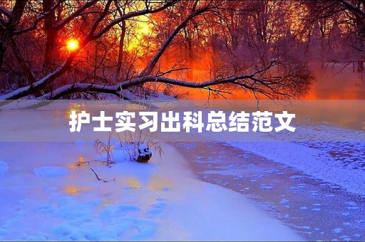 护士实习出科总结范文