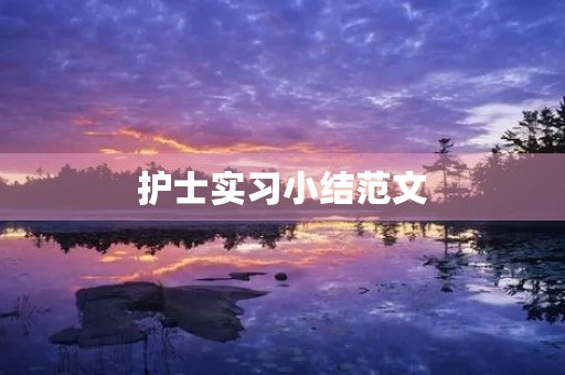 护士实习小结范文