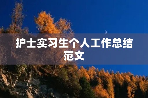 护士实习生个人工作总结范文