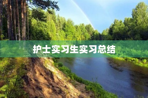 护士实习生实习总结
