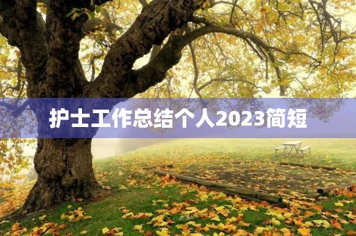 护士工作总结个人2023简短