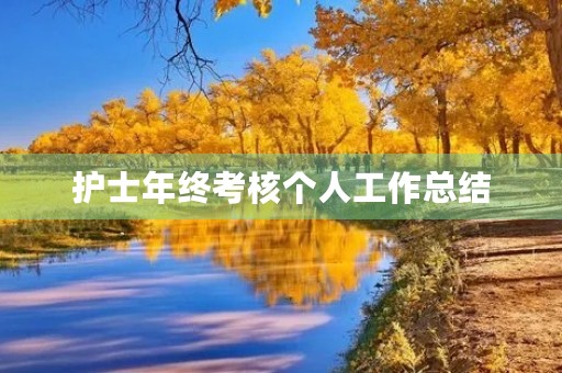 护士年终考核个人工作总结