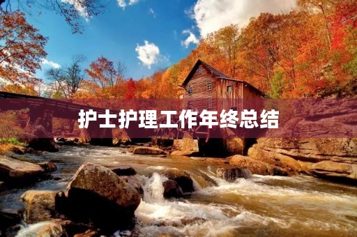 护士护理工作年终总结