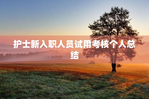 护士新入职人员试用考核个人总结