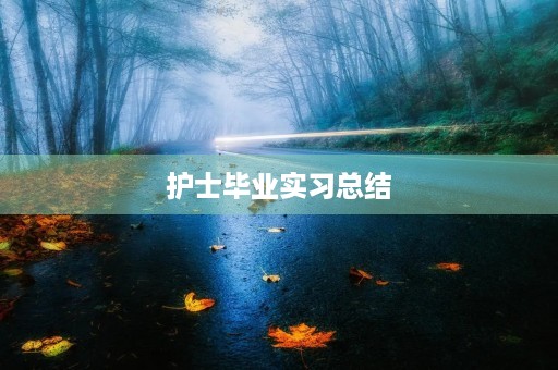 护士毕业实习总结