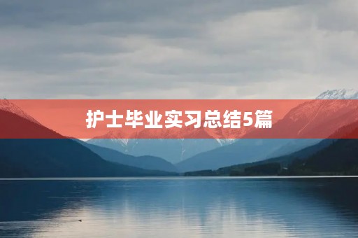 护士毕业实习总结5篇