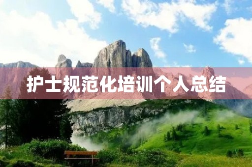 护士规范化培训个人总结