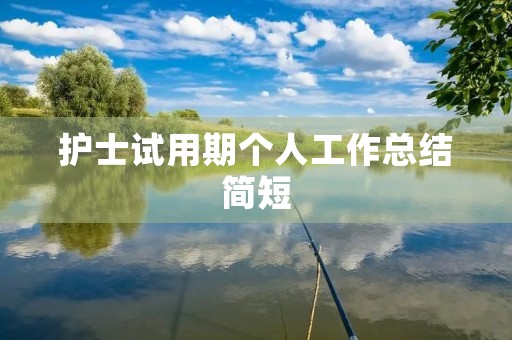 护士试用期个人工作总结简短