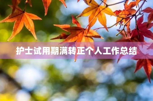 护士试用期满转正个人工作总结