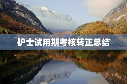护士试用期考核转正总结