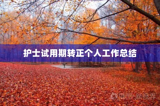 护士试用期转正个人工作总结