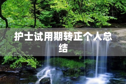 护士试用期转正个人总结