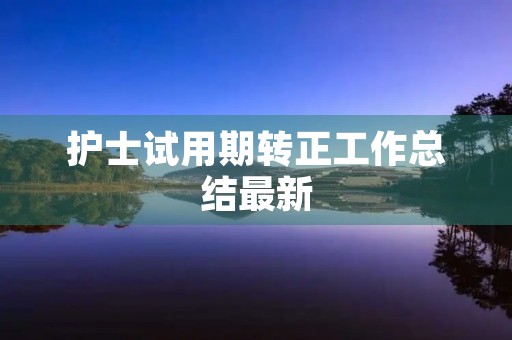 护士试用期转正工作总结最新