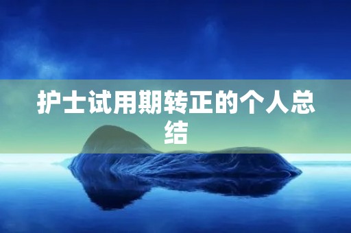 护士试用期转正的个人总结
