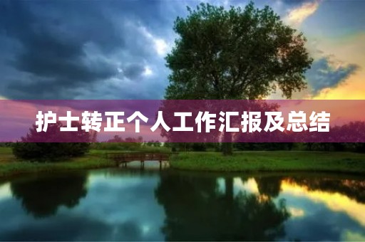 护士转正个人工作汇报及总结