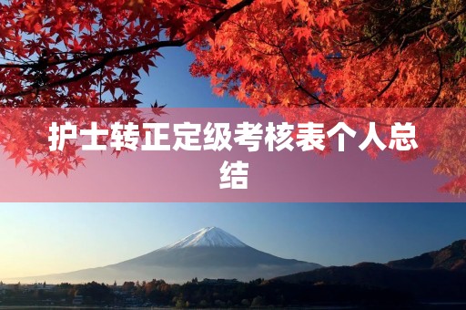 护士转正定级考核表个人总结