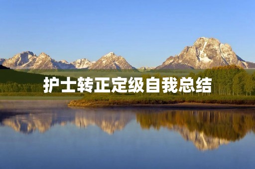 护士转正定级自我总结