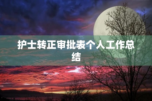 护士转正审批表个人工作总结