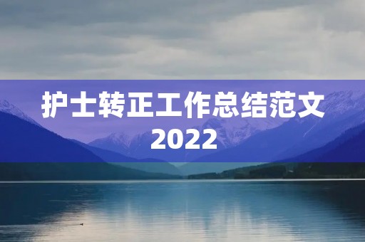 护士转正工作总结范文2022