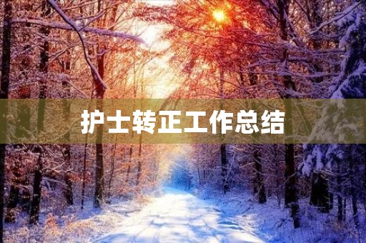护士转正工作总结