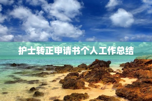 护士转正申请书个人工作总结