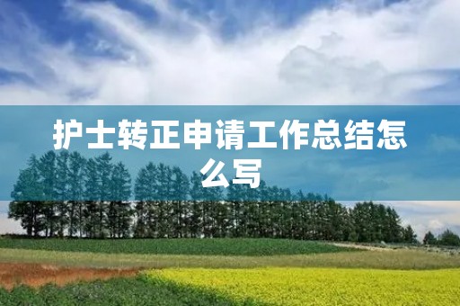 护士转正申请工作总结怎么写