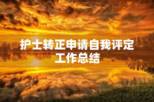 护士转正申请自我评定工作总结