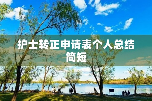 护士转正申请表个人总结简短 护士转正申请表个人总结简短