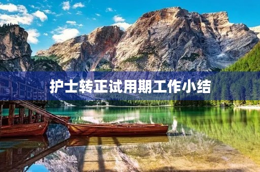 护士转正试用期工作小结