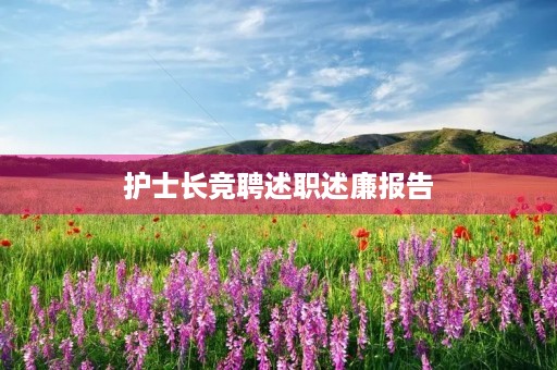 护士长竞聘述职述廉报告(10篇) 护士长竞聘述职述廉报告(10篇)