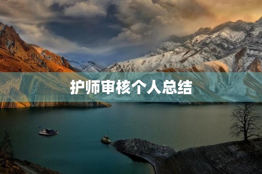 护师审核个人总结