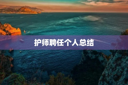 护师聘任个人总结