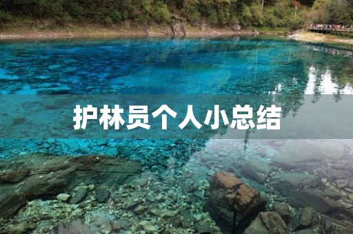 护林员个人小总结