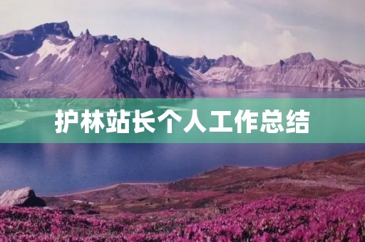 护林站长个人工作总结