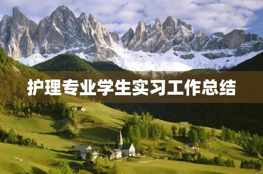 护理专业学生实习工作总结