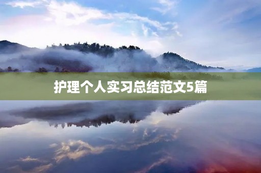 护理个人实习总结范文5篇