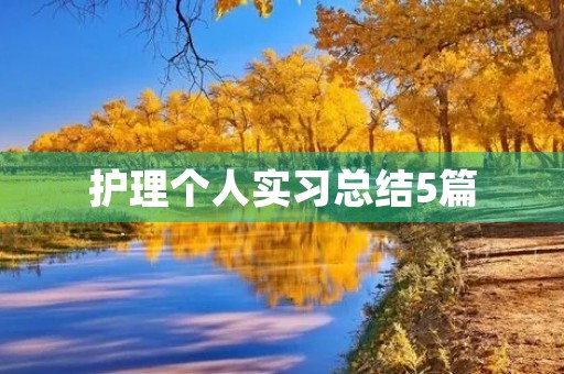 护理个人实习总结5篇