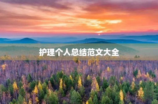 护理个人总结范文大全