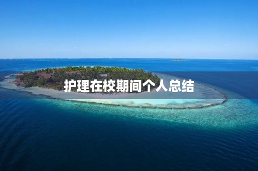 护理在校期间个人总结