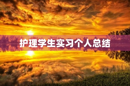 护理学生实习个人总结