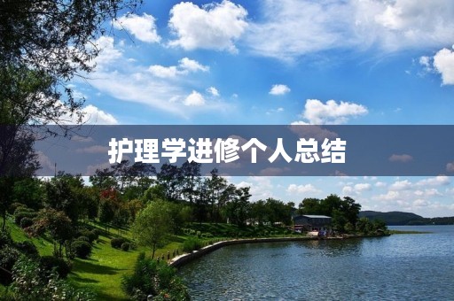 护理学进修个人总结